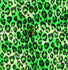 Safari Exotic's Velvet Leopard Skin Print Spandex Fabric| (4 Way Stretch/Per Yard) | Multiple Colours