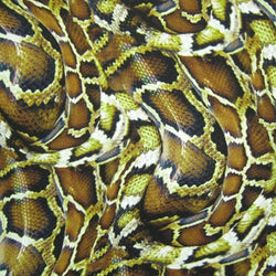 Snake Skin Print on Poly Spandex Fabric | (4 Way Stretch/Per Yard)