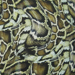 Snake Skin Print on Poly Spandex Fabric | (4 Way Stretch/Per Yard)