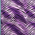 Exotic Zebra Print on Nylon Spandex Fabric (Purple/Lavender) | (4 Way Stretch/Per Yard)