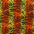 Exotic Tiger Print on Crushed Velvet Fabric | (2 Way Stretch/Per Yard)