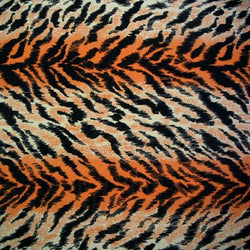 Exotic Tiger Print on Poly Spandex Fabric | (2 Way Stretch/Per Yard)