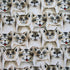 Kittens Face Print on Poly Spandex Fabric | (4 Way Stretch/Per Yard)