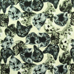 Kittens Face Print on Poly Spandex Fabric | (4 Way Stretch/Per Yard)