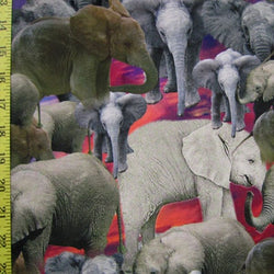 Elephant Print on Poly Spandex Fabric | (4 Way Stretch/Per Yard)