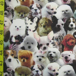 Puppy Print on Poly Spandex Fabric | (4 Way Stretch/Per Yard)