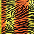 Exotic Tiger Print on Crushed Velvet Fabric | (2 Way Stretch/Per Yard)