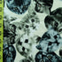 Kittens Face Print on Poly Spandex Fabric | (4 Way Stretch/Per Yard)