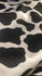 Cow Print on Nylon Spandex Fabric (White/Black) | (4 Way Stretch/Per Yard)