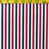 Vertical Stripes on Nylon Spandex Fabric (Multicolor) | (4 Way Stretch/Per Yard)