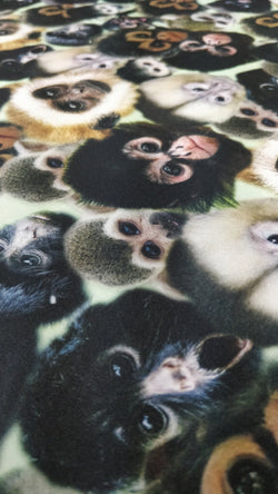 Monkey Print on Poly Spandex Fabric | (4 Way Stretch/Per Yard)