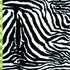 Exotic Tiger Print on Lightweight Poly Spandex Fabric | (2 Way Stretch/Per Yard)