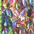 Leaf Gradient Print on Poly Spandex Fabric | (4 Way Stretch/Per Yard)