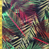 Tropical Leaves Print on Poly Spandex Fabric | (4 Way Stretch/Per Yard)