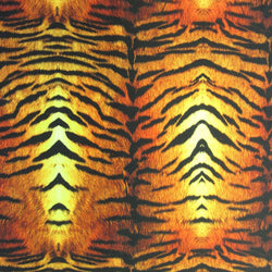 Classic Tiger Print on Poly Spandex Fabric | (4 Way Stretch/Per Yard)