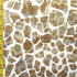 Giraffe Print on Poly Spandex Fabric | (4 Way Stretch/Per Yard)